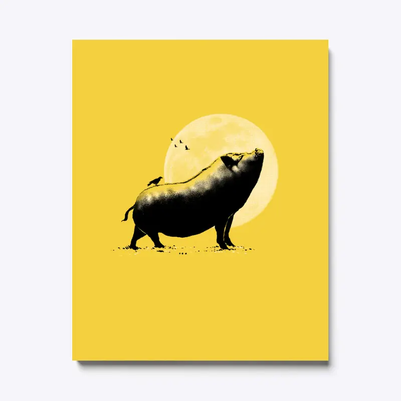 barking pig Canvas Print