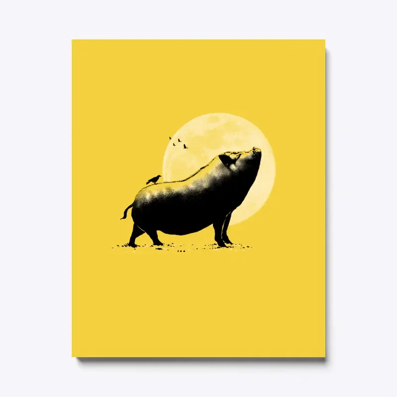 barking pig Canvas Print